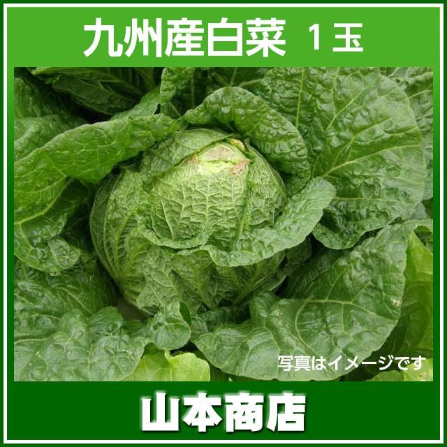 白菜 １玉 九州産｜yamamoto123