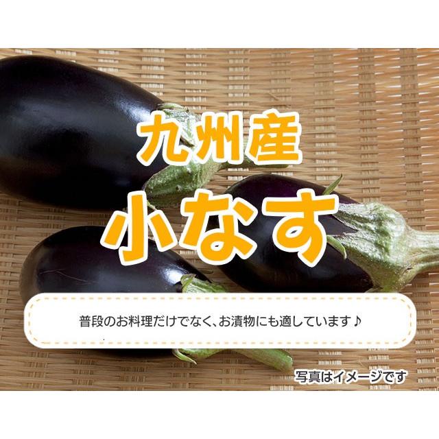 九州産　小なす　１箱１.5kg｜yamamoto123