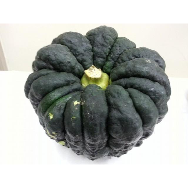 宮崎県産 黒皮南瓜 Miyazaki Kabocha 山本商店ヤフー店 通販 Yahoo ショッピング