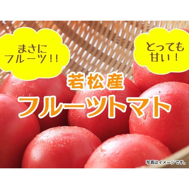 若松産フルーツトマト 500g : 山本商店ヤフー店 - 通販 - Yahoo
