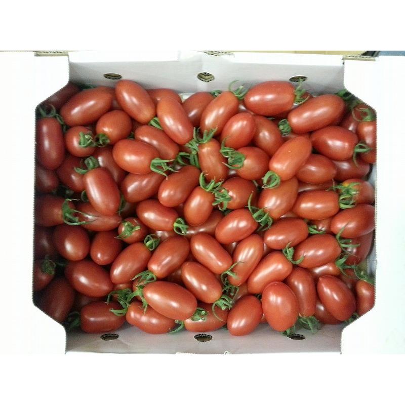 訳あり九州産 アイコ 3kg : 山本商店ヤフー店 - 通販 - Yahoo