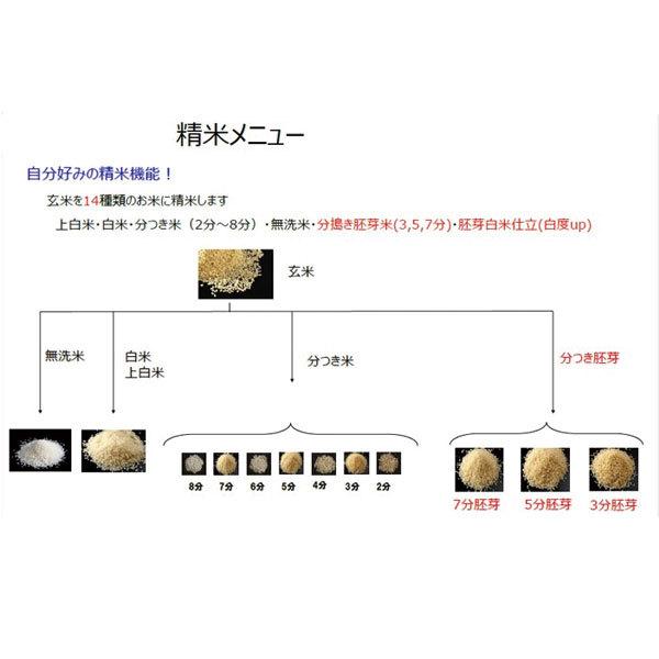 山本電気 YE-RC17A-WH(ホワイト) 家庭用精米機 Shin Bisen(〜しん美鮮