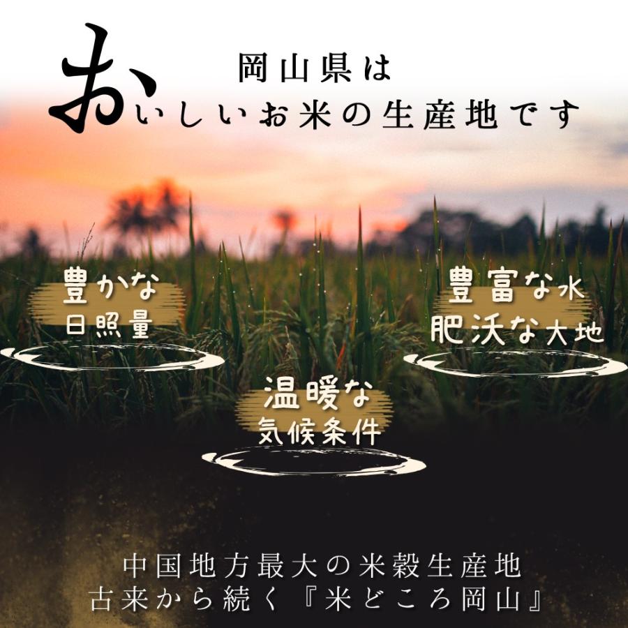 お米 令和5年 新米 岡山県産  5種食べ比べセット (きぬむすめ 阿新こしひかり ひのひかり 朝日 こしひかり) 10kg (2kg×5) 送料無料｜yamamotoyasuosaketen｜02