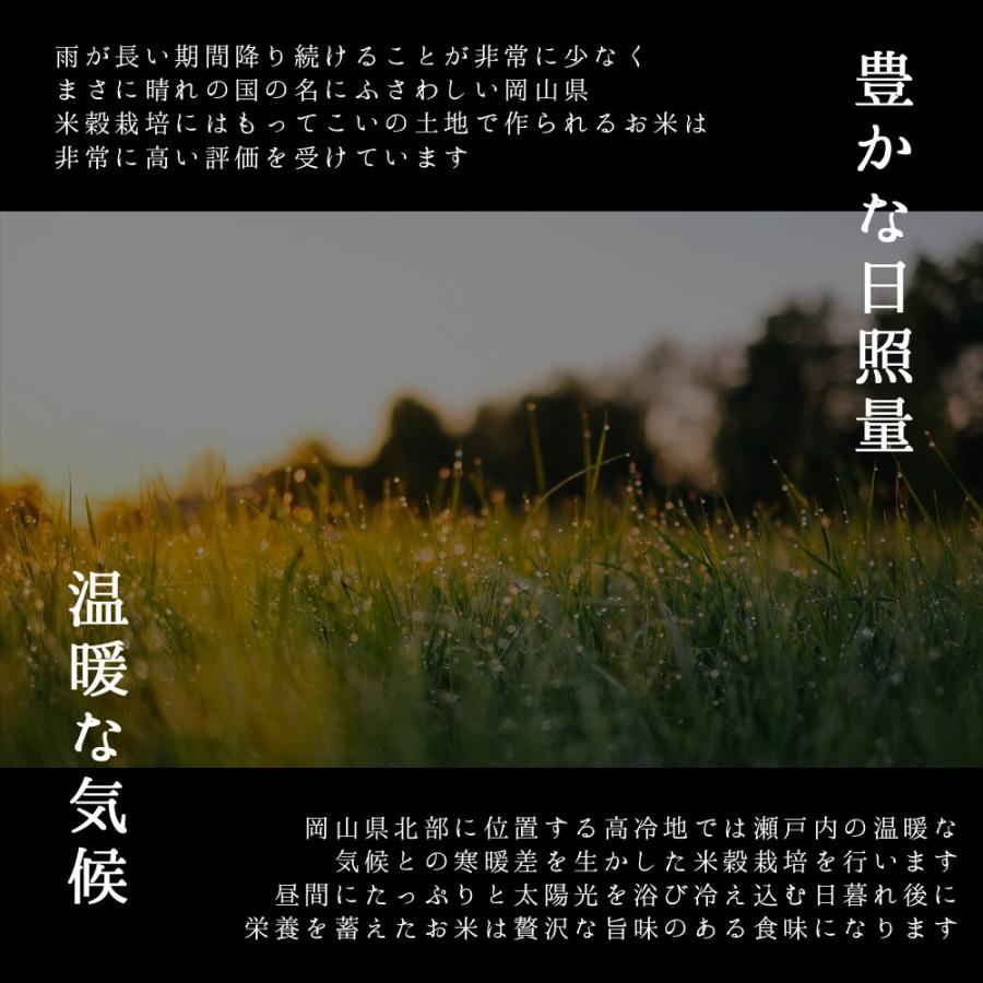 お米 新米 令和5年 岡山県産 きぬむすめ 10kg (5kg×2袋)  特A米 キヌムスメ 一等米 送料無料 安い｜yamamotoyasuosaketen｜04