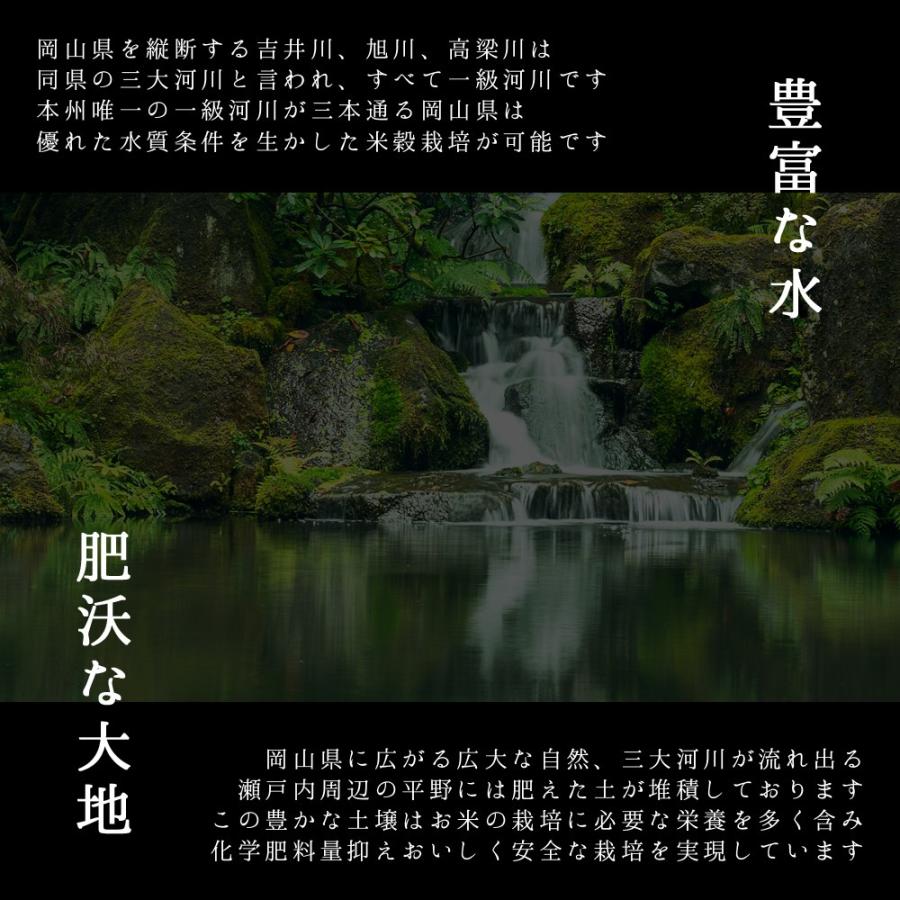 お米 新米 令和5年 岡山県産 きぬむすめ 10kg (5kg×2袋)  特A米 キヌムスメ 一等米 送料無料 安い｜yamamotoyasuosaketen｜05