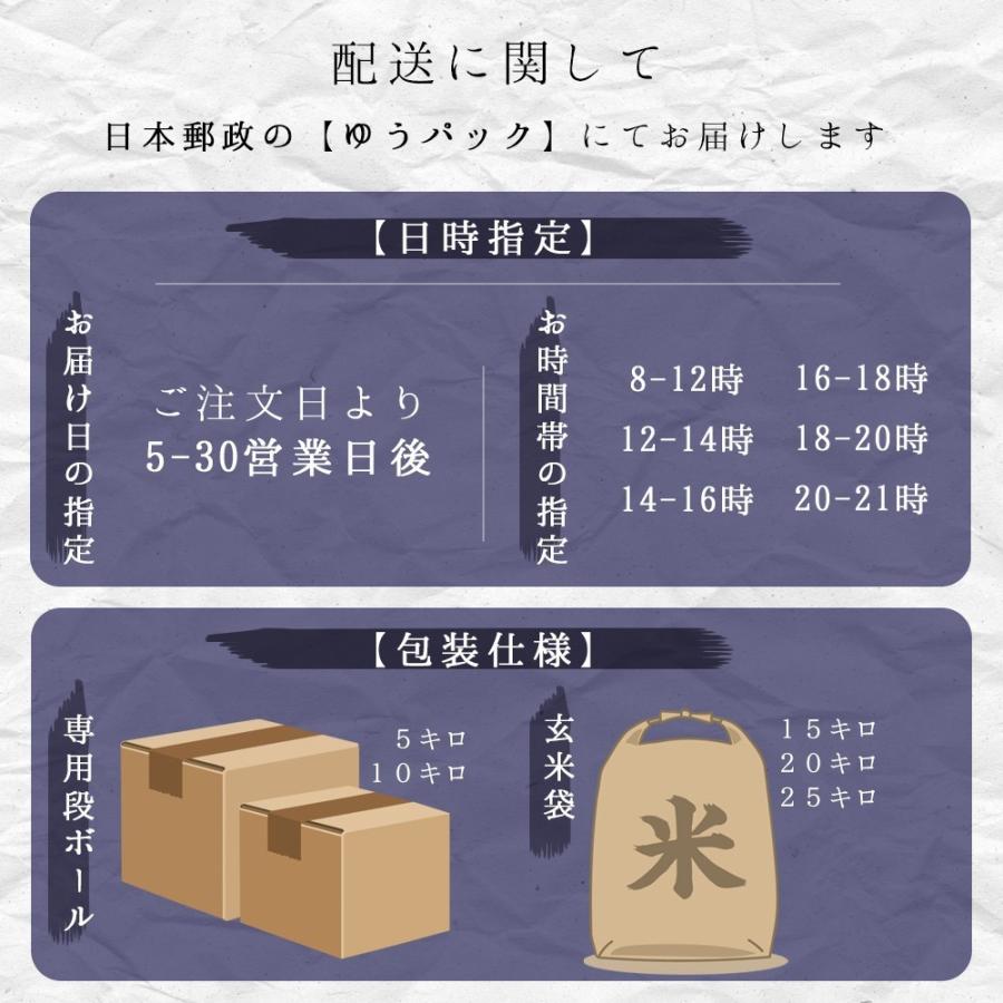 お米 新米 令和7年 高知県産こしひかり10kg（5kg×2袋） コシヒカリ 