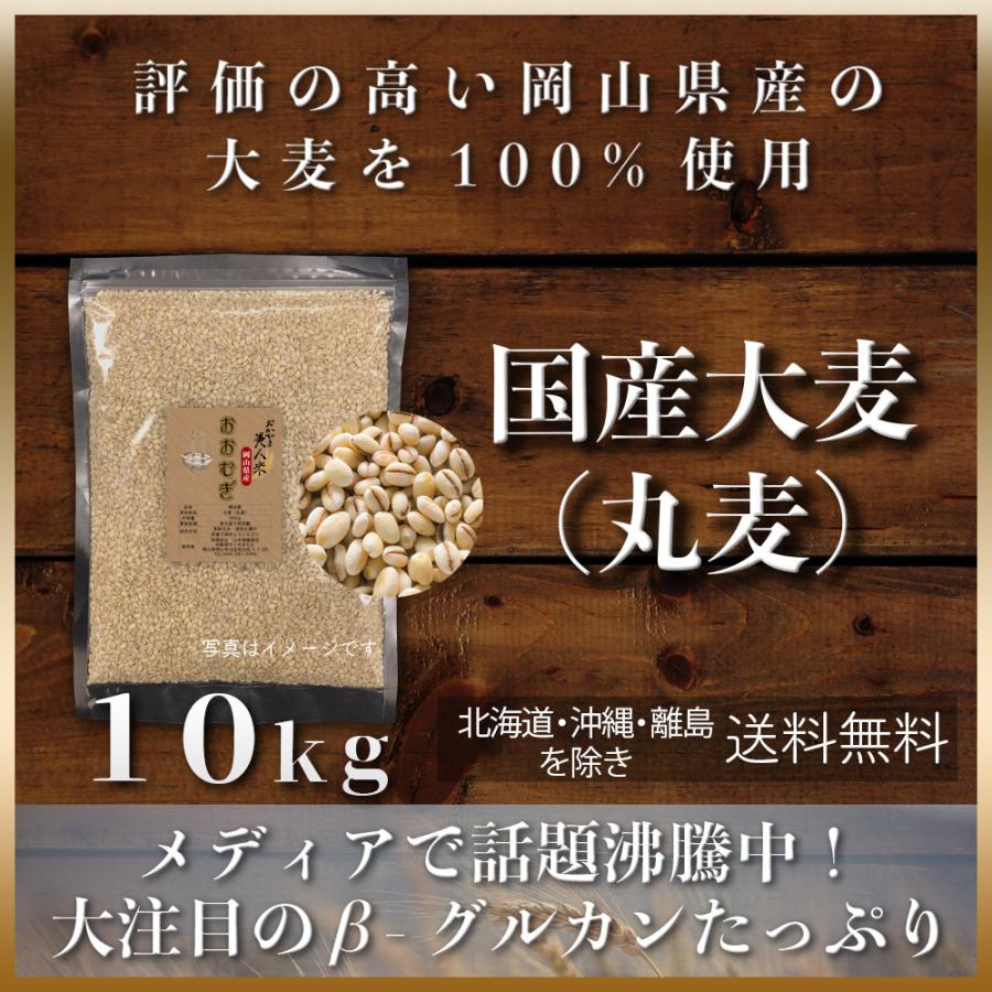大麦(丸麦) 10kg (5kg×2袋) 雑穀 岡山県産 もち麦の代わりに 送料無料