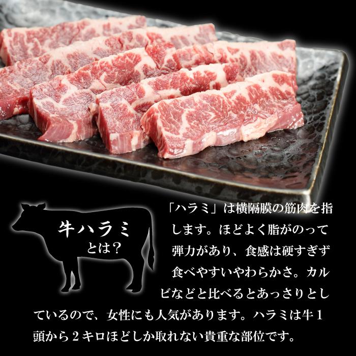 毎日がバーゲンセール 旨みたっぷり牛ハラミ 熟成醤油だれ 0g K2 004 Wantannas Go Id