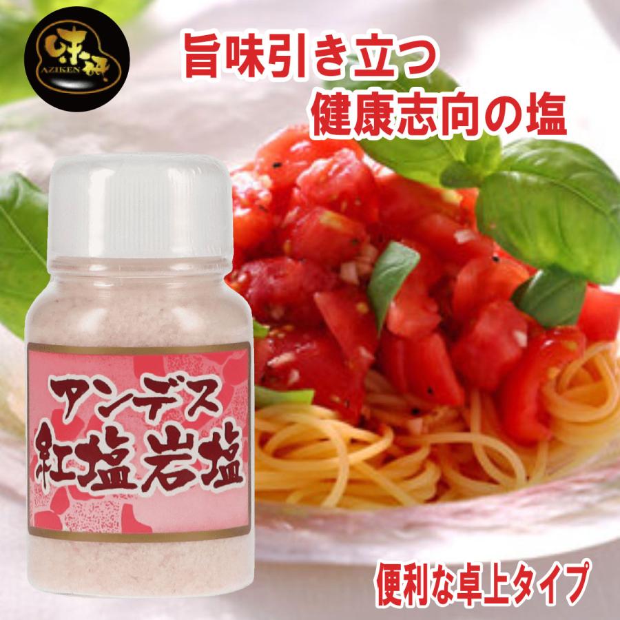 味研 アンデス岩塩 紅塩 200g 1本 卓上ソルト 旨味塩 甘塩 BBQ グラン