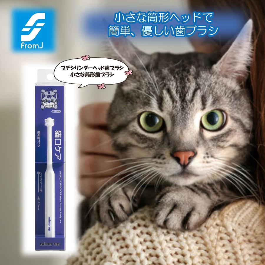 猫口ケア 歯ブラシ シリンダーヘッド プチ ペット用品 ネコちゃん 猫用 