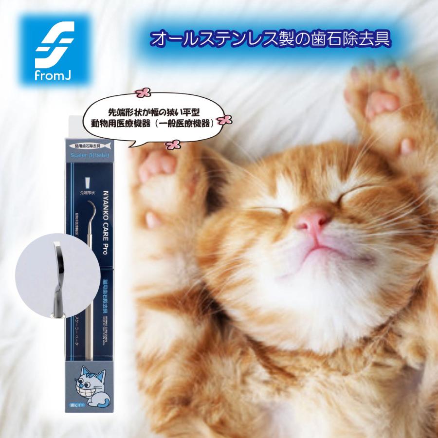 ペット用　歯石ペンチとスケーラー2本 帝塚山ハウンドカム 【タイムセール5％OFF】愛犬・愛猫用歯石取り