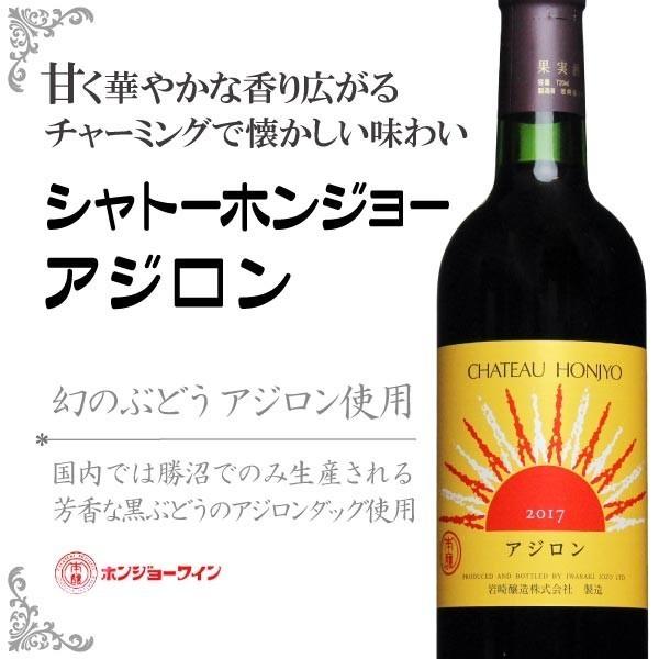 赤ワイン 国産 ヌーボー アジロンダック あじろん 限定品　岩崎醸造 シャトーホンジョーアジロン720ml　ワイナリー直送｜yamanashi-online