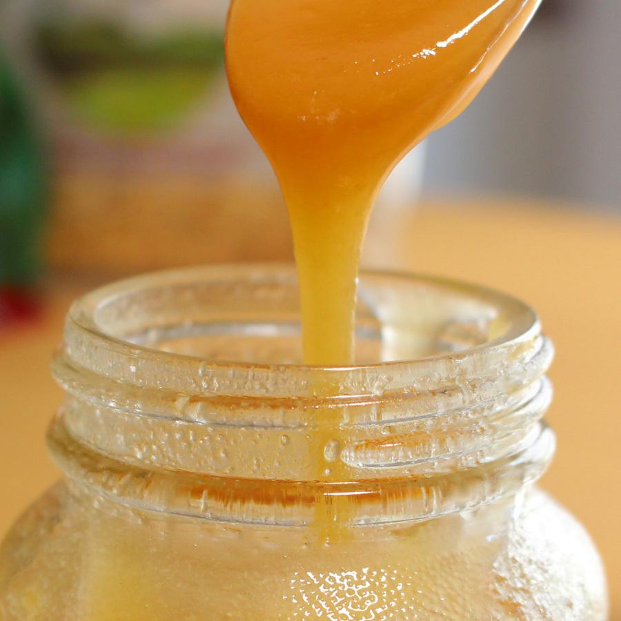 国産 純粋 非加熱 無添加 希少 日本蜜蜂の蜂蜜100g 高級ギフト : 富士