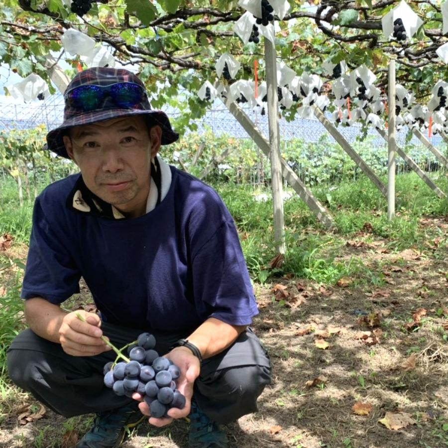 山梨県笛吹市産 種あり巨峰 種アリだからこその本物の味 約1kg2房
