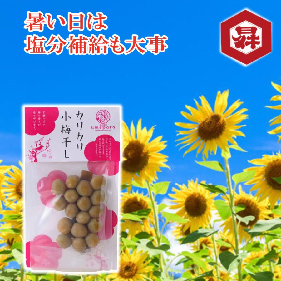 梅の楽園 Umepara 甲州小梅 カリカリ小梅 お取り寄せ Umepara Karikariume1 富士の国やまなし特産品モール 通販 Yahoo ショッピング