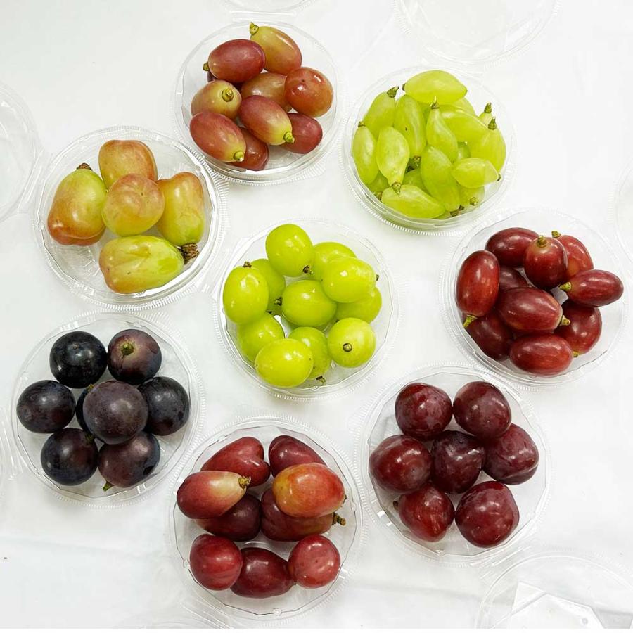 山梨県産ぶどう　5種類食べ比べセット　5房入り箱込み約3.6kg 期間限定 数量限定 山梨の旬のぶどう 食べ比べ 8種 粒のみ 120g 8