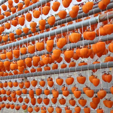 松里の枯露柿（特1サイズ・16個入) 山梨県産甲州の干し柿 ころ柿