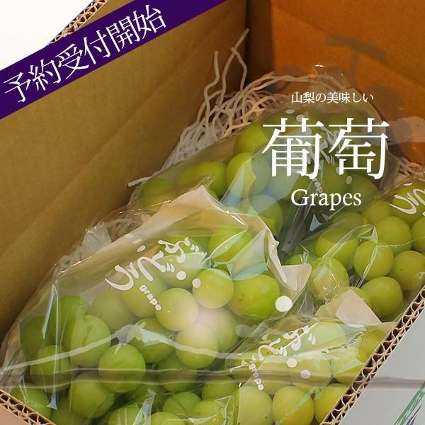 ご予約商品山梨の美味しいぶどう シャインマスカット 4kg（6〜9