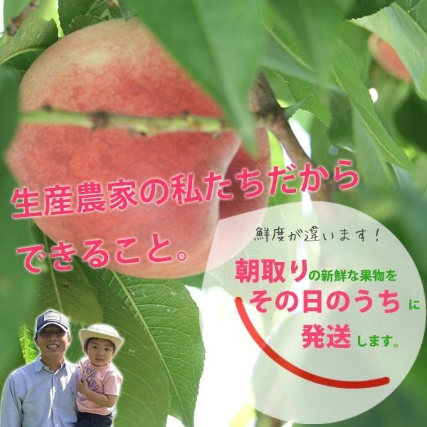 ご予約商品山梨の美味しい桃 紅くにか3kg 9-15個入り (農家産直