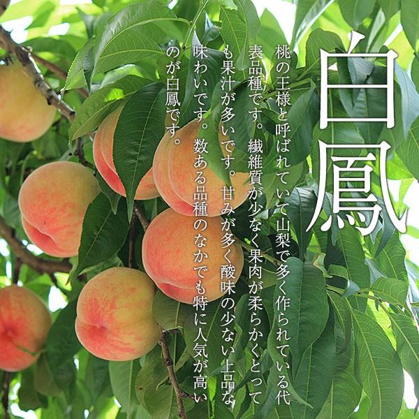 ご予約商品山梨の美味しい桃 白鳳5kg 13-18個入り (農家産直)(ギフト 