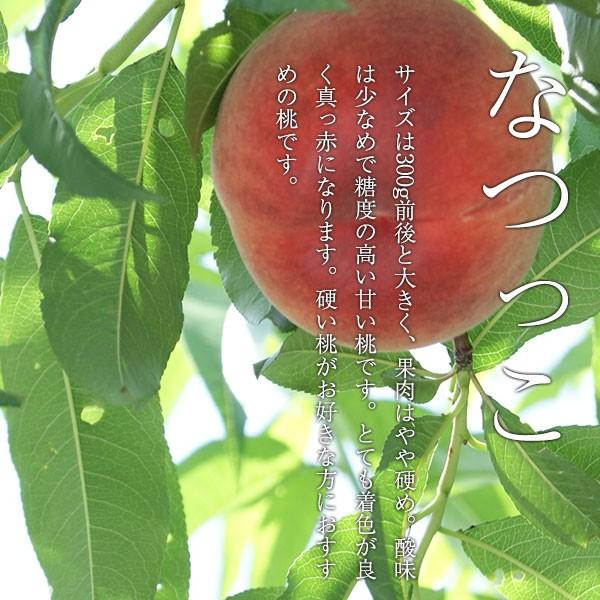 桃　なっこ　山梨　15玉 楽天市場】山梨県産 桃 なつっこ 秀品 13〜15玉入り （大玉）箱 : 生鮮