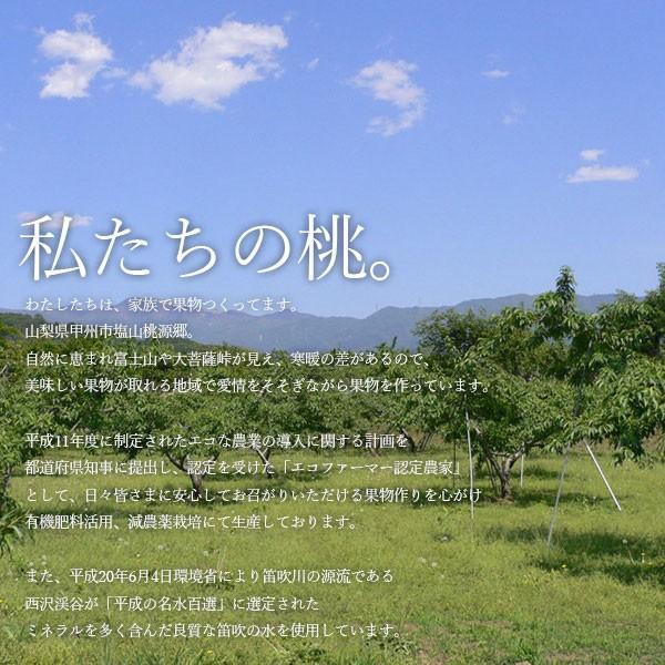 ご予約商品山梨の美味しい桃 なつっこ3kg 8-15個入り (農家産直
