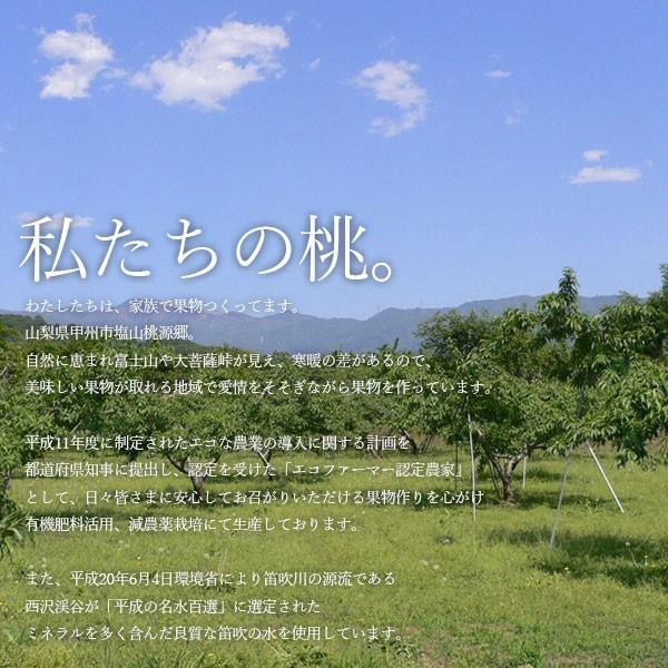 ご予約商品山梨の美味しい桃 夢みずき3kg 9-15個入り (農家産直