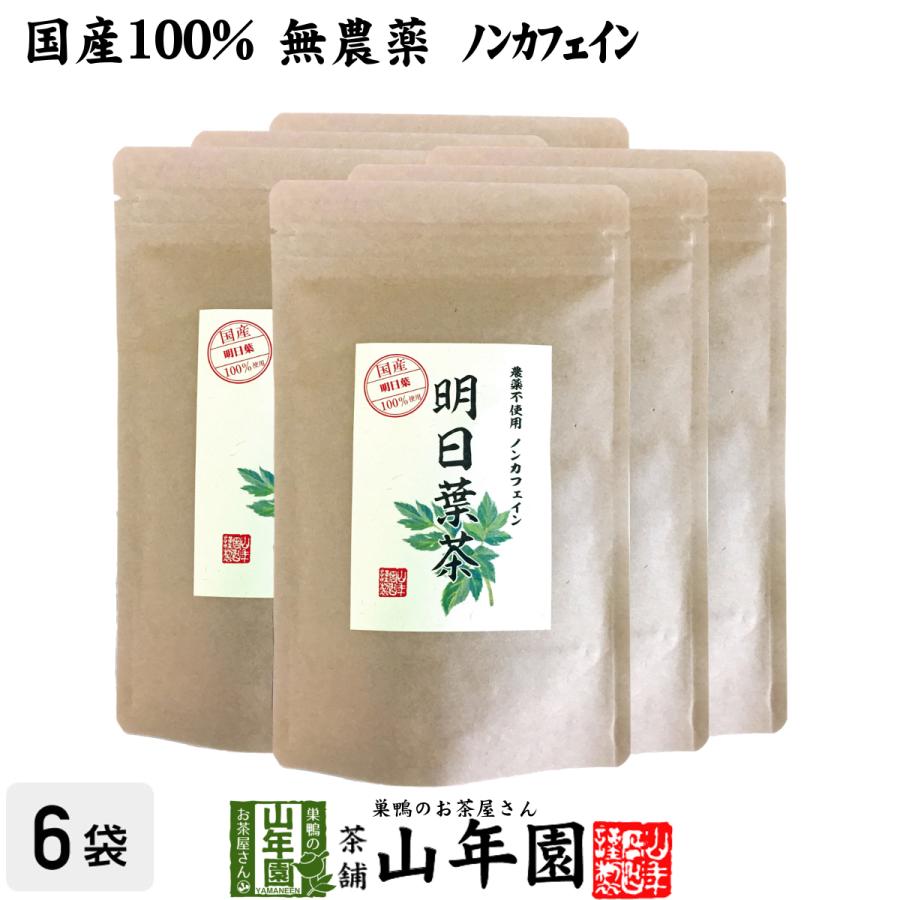 健康茶 国産100% 無農薬 明日葉茶 40g×6袋セット 伊豆諸島で採れた明日葉茶 ノンカフェイン 送料無料