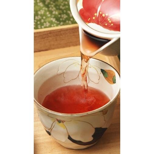 健康茶 国産100% びわ茶 びわの葉茶 100g×6袋セット 無農薬 ノンカフェイン 送料無料_4