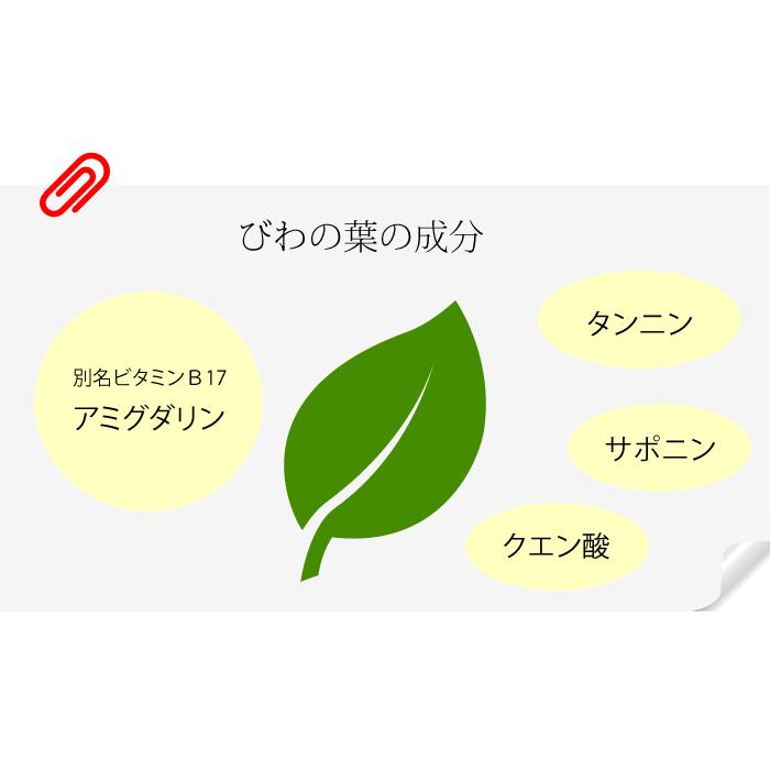健康茶 国産100% びわ茶 びわの葉茶 100g×6袋セット 無農薬 ノンカフェイン 送料無料_5