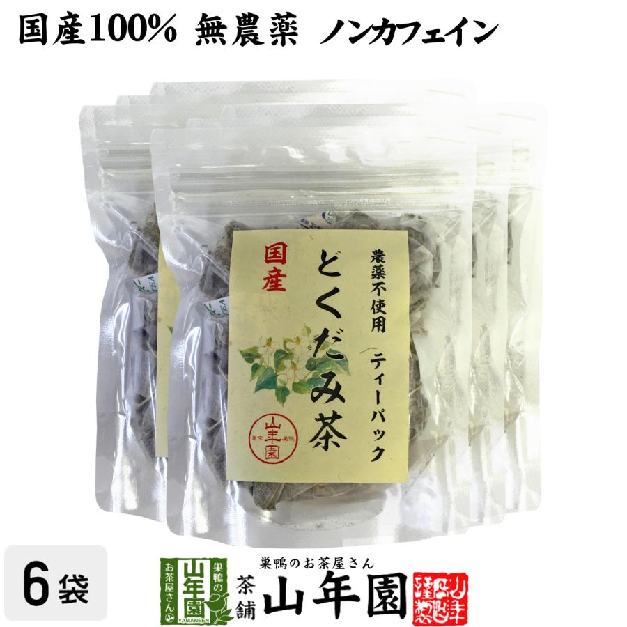 健康茶 国産100% どくだみ茶 ティーパック 無農薬 1.5g×20パック×6袋セット ノンカフェイン 宮崎県産 送料無料