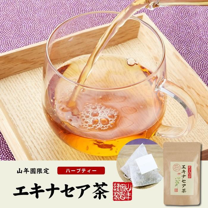 健康茶 国産100% エキナセア茶 2g×10パック×10袋セット ノンカフェイン 鳥取県または熊本県産 無農薬 送料無料