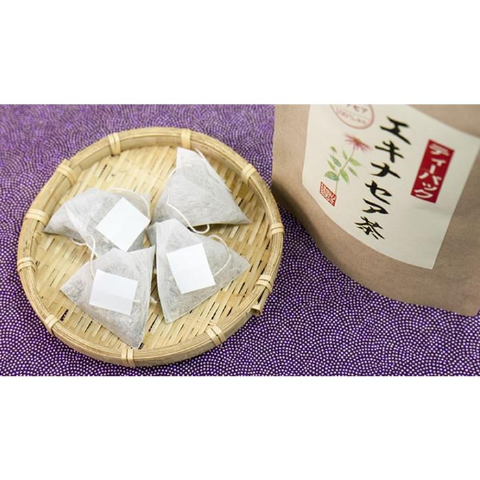 健康茶 国産100% エキナセア茶 2g×10パック×10袋セット ノンカフェイン 鳥取県または熊本県産 無農薬 送料無料