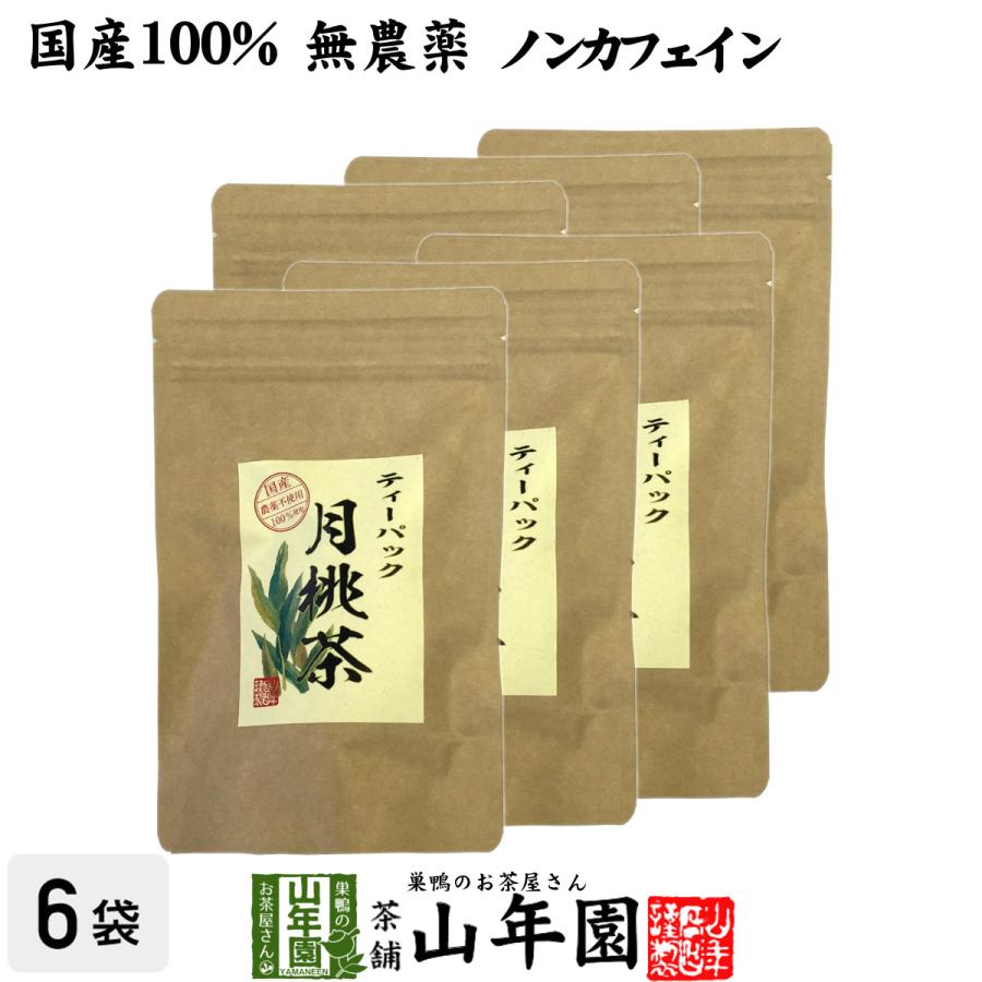 健康茶 国産100% 月桃茶 2g×20パック×6袋セット ティーパック ノンカフェイン 沖縄県産 無農薬 月桃水 送料無料