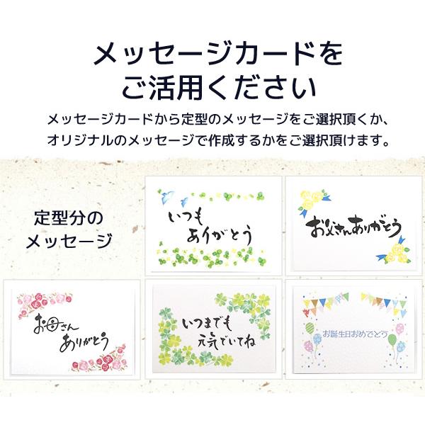 ギフト 海鮮ごはんのお供セット 9種類(白さば、あじと昆布の旨煮、七味いわし、鶏そぼろ、いわしトマトバジル、牛しぐれ、いわし生姜煮、豚角煮、がりといわし)｜yamaneen｜16