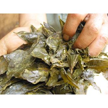 健康茶 大豊町の碁石茶 100g×2袋セット 碁石茶 国産 日本茶 送料無料_5