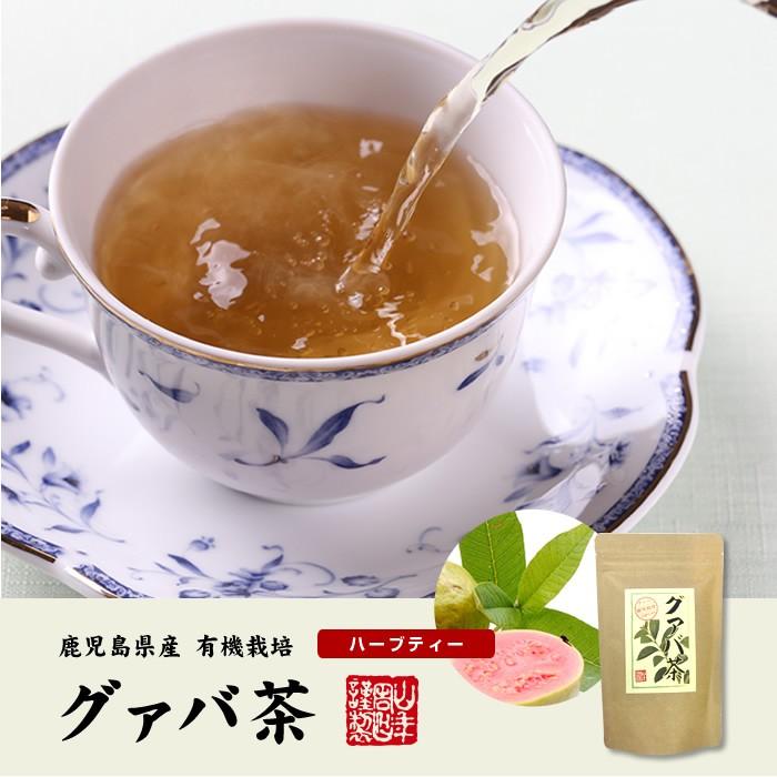 健康茶 国産100% グァバ茶 3g×16パック×10袋セット ティーパック ノンカフェイン 鹿児島県産 無農薬 送料無料