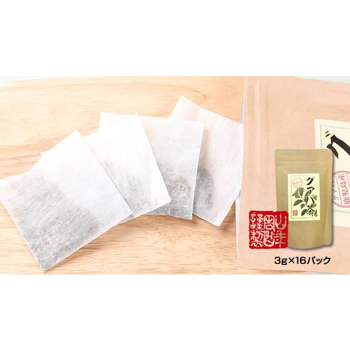 健康茶 国産100% グァバ茶 3g×16パック×10袋セット ティーパック ノンカフェイン 鹿児島県産 無農薬 送料無料