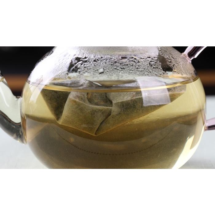 健康茶 国産100% グァバ茶 3g×16パック×10袋セット ティーパック ノンカフェイン 鹿児島県産 無農薬 送料無料