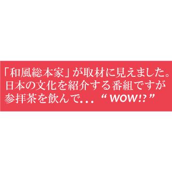 お茶 日本茶 煎茶 巣鴨参拝茶100g×12袋セット 送料無料｜yamaneen｜02