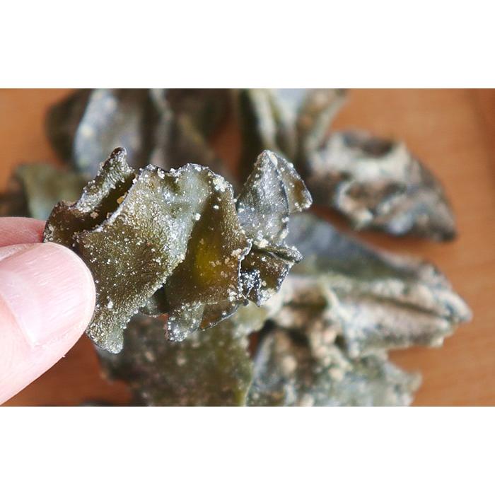 お茶 健康茶 芽かぶ茶 国産100% 伊勢志摩産 めかぶ茶 32g&times;10袋