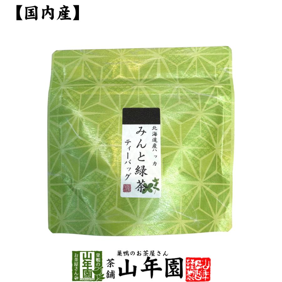 国産100% みんと緑茶 ティーパック 3g×5包｜yamaneen
