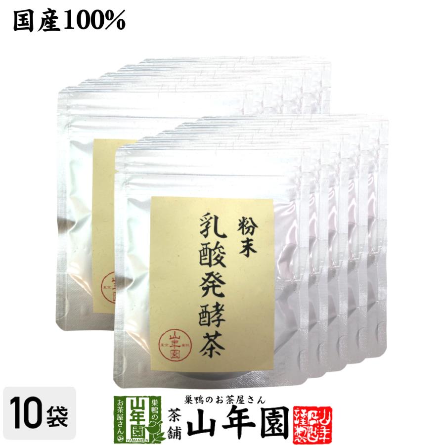 お茶 日本茶 煎茶 茶葉 国産100% 静岡県掛川産 乳酸発酵茶 40g×10袋セット 後発酵茶