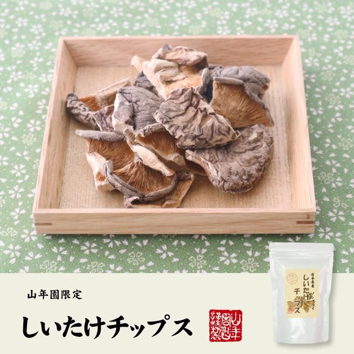 健康食品 国産 しいたけチップス 30g×2袋セット 送料無料｜yamaneen｜02