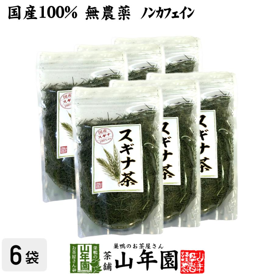 人気絶頂 健康茶 国産100 スギナ茶 70g 6袋セット 無農薬 ノンカフェイン 宮崎県産 大注目 Www Muslimaidusa Org