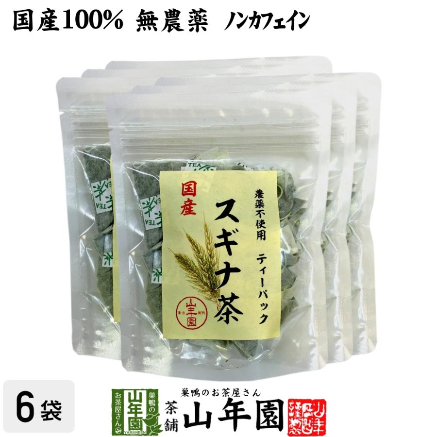 健康茶 国産100% スギナ茶 ティーパック 1.5g×20パック×6袋セット 無農薬 ノンカフェイン 宮崎県産 送料無料