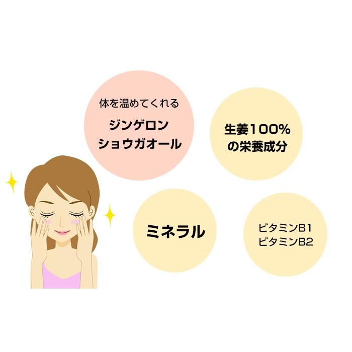 健康茶 国産100% 生姜茶 ジンジャーティー 2g×12パック×6袋セット 国産 送料無料_3