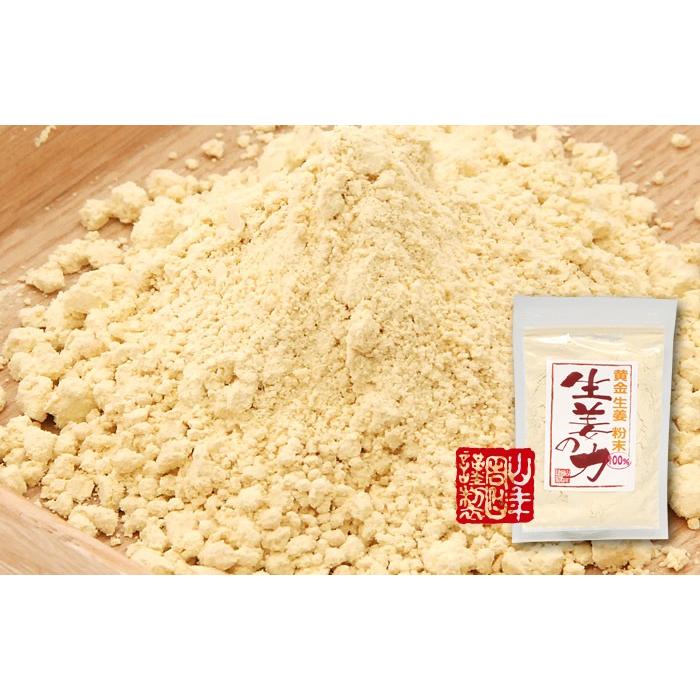 しょうが 粉末 国産 生姜の力 55g×10袋セット しょうが ショウガオール 冷え 温活 送料無料