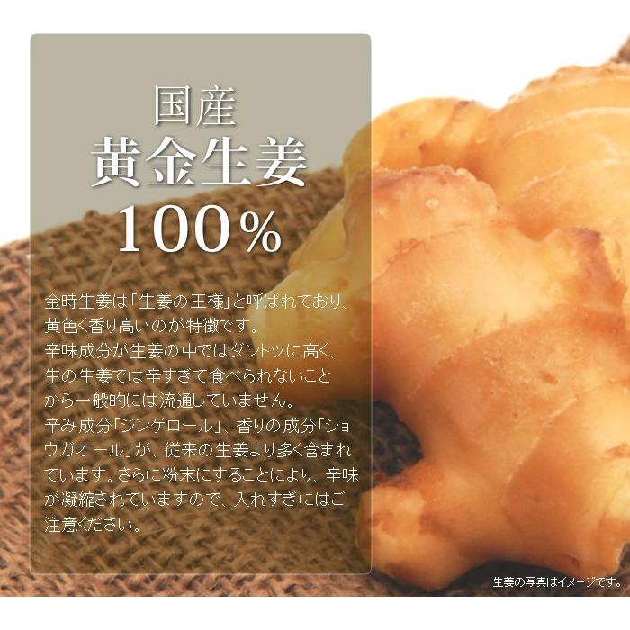 しょうが 粉末 国産 生姜の力 55g×10袋セット しょうが ショウガオール 冷え 温活 送料無料