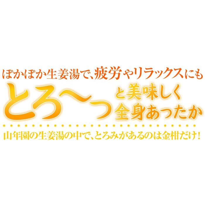 健康茶 キンカン生姜湯 300g×3袋セット ギフト用外袋 高知県産生姜 国産 送料無料｜yamaneen｜05